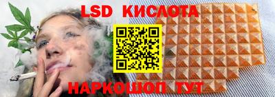 герыч Кингисепп