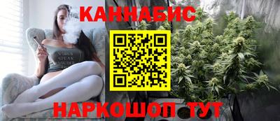 шишки Кинель