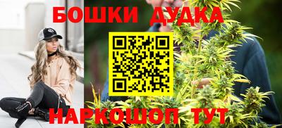 шишки Кинель