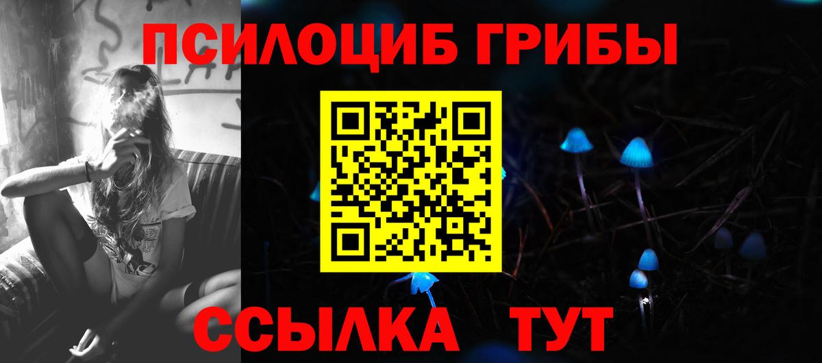 Кувандык  Галлюциногенные грибы Magic Shrooms  Вход с VPN 